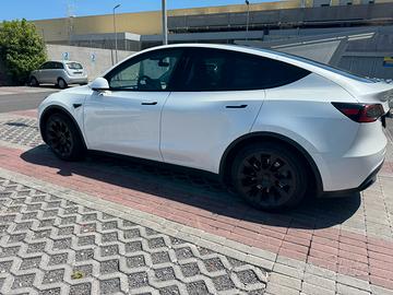 Tesla model y Rwd 300 cv no bollo gommata nuova