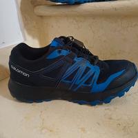 Salomon tracking