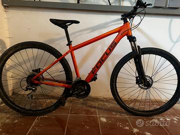 Mountain Bike Focus