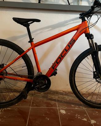 Mountain Bike Focus