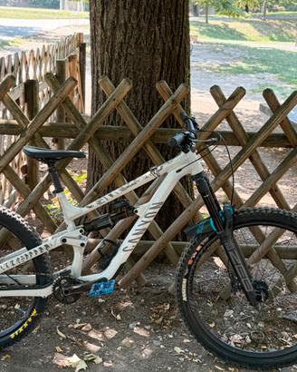 Canyon Torque AL 6 2025 Tg. L