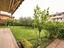 Immagine 14