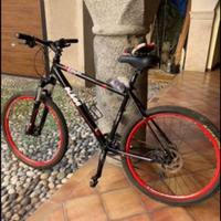 Mountain bike