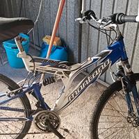 Bicicletta in perfetto stato