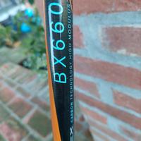 canna da pesca bolognese sarfix  BX660