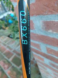 canna da pesca bolognese sarfix  BX660