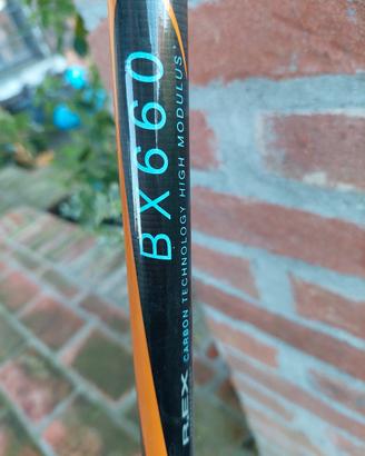 canna da pesca bolognese sarfix  BX660