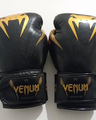 guantoni per box con fasce