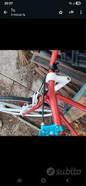 bicicletta scatto fisso 