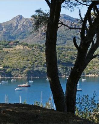 Last minute elba - monolocale splendida vista mare