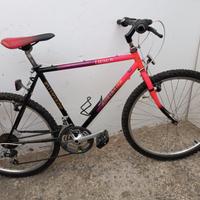 MTB Adriatica 26