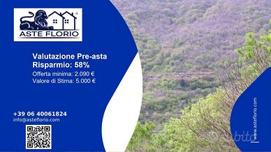 Immobile in asta di 1770 m² a Itala