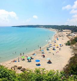 A 50 mt dal mare a torre del orso per 4 persone