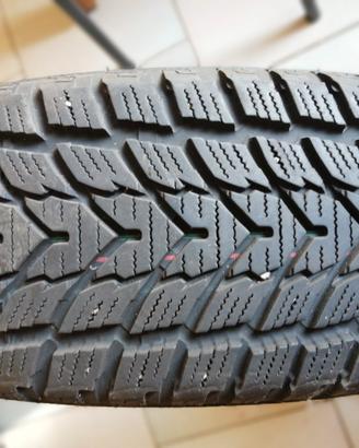 gomme da neve