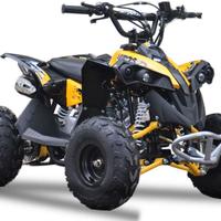 QUAD Lem Altro modello - 2015