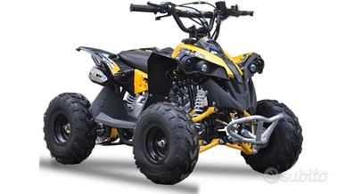 QUAD Lem Altro modello - 2015