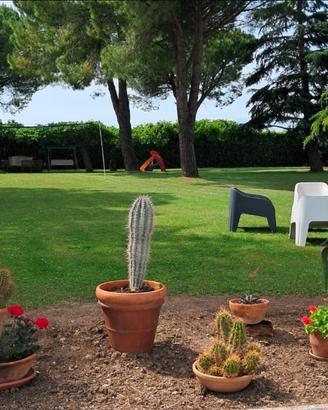 È tutto in esclusiva settembre da sogno