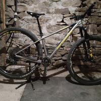 bergamont revox ultra carbon small