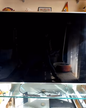 tv panasonic 65"