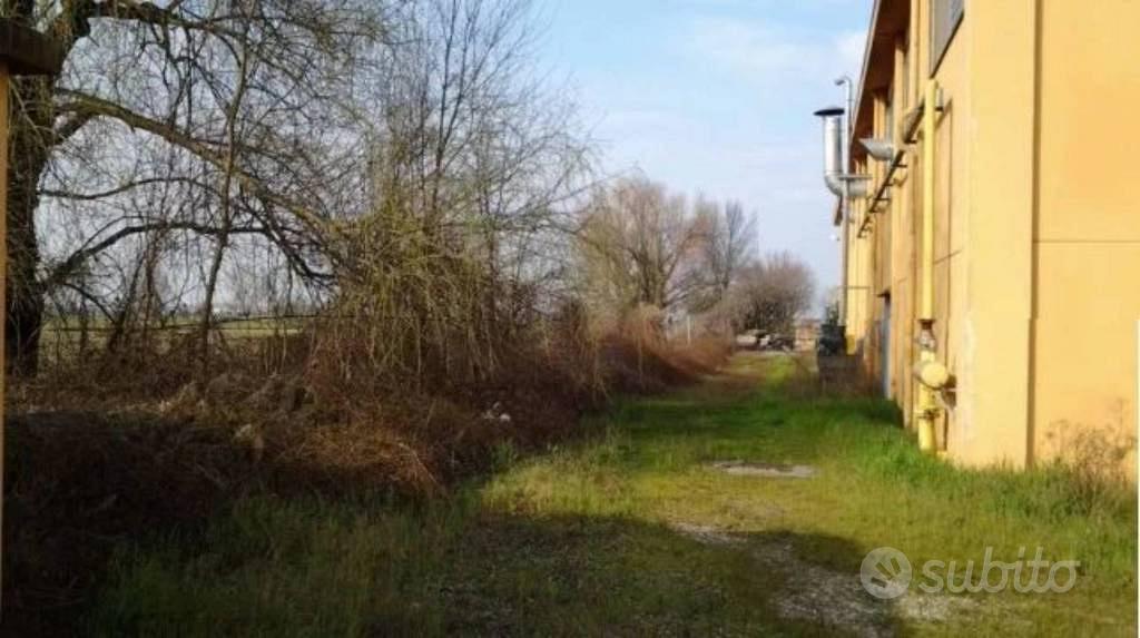 Appartamento – Casalmaggiore, La Briantina, Oratorio - Vista 4