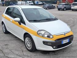 FIAT Punto Evo 1.3 MJT 75CV 5p. Van Dynamic senz