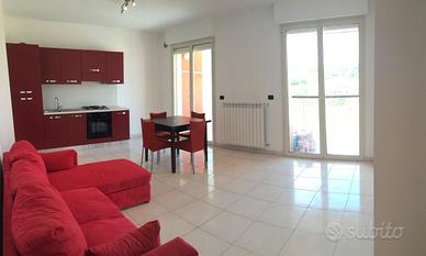 termoli aff annuale o 4+4