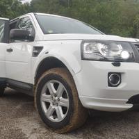 LAND ROVER Freelander 2ª serie - 2013