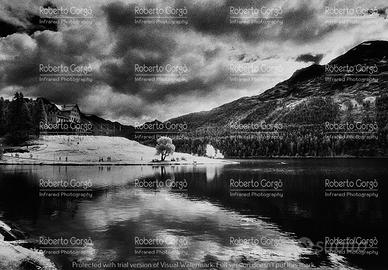 Fotografia Infrarosso Engadina Lago di San Moritz