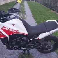 Xcape morini 650