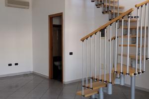 Negozio Rovigo [RO2858VCG]