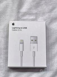 Cavo di ricarica Apple Lightning - 2 metri 