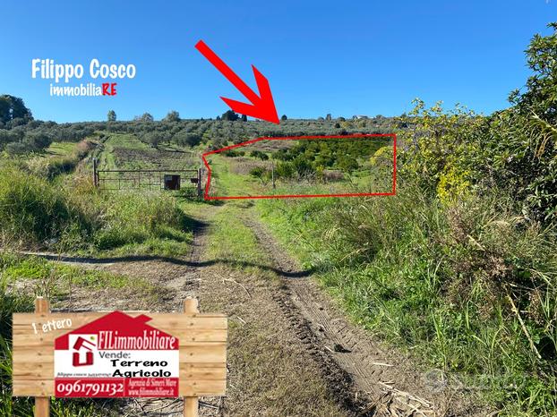 Terreno Agricolo a Simeri Crichi - Merano