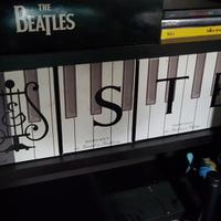 The Piano Collection - Steinway&Sons"Unico"