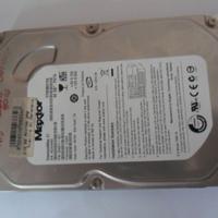 Hard disk - Serial ATA - MAXTOR da 80 GB