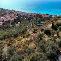 TER. AGRICOLO A COSTARAINERA