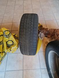 gomme invernali + cerchi