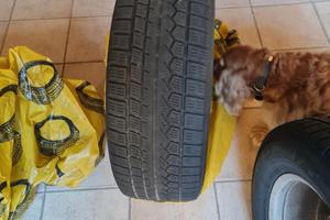 gomme invernali + cerchi