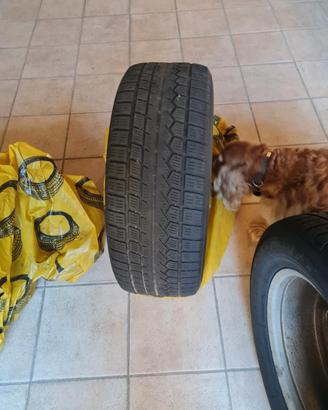 gomme invernali + cerchi