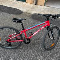 Mtb bambino Serious, alluminio, ruota 24’’