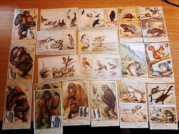 figurine liebig e lavazza