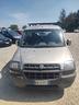 fiat-doblo-1-9-diesel-cat-elx