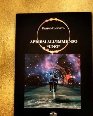 "Aprirsi all' immenso dell' Uno" di F. Cacciato 
