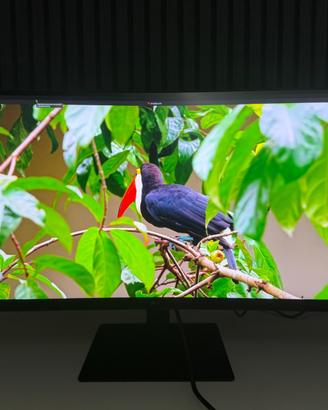 LG UltraWide 34” 34U650A-B WQHD IPS 100Hz USB-C