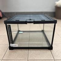 Terrario in vetro per rettili - 30x30x20 cm