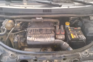Lancia musa GPL anno 2012