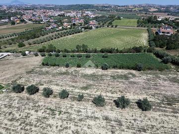 TERRENO A SANT'OMERO