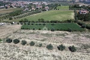 TERRENO A SANT'OMERO