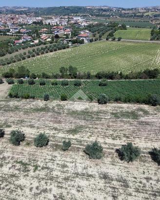TERRENO A SANT'OMERO