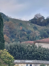 Vigneto panoramico CANDIA Carrara