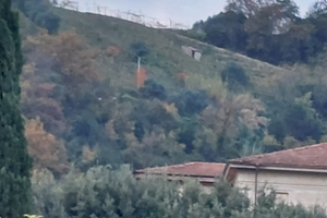 Vigneto panoramico CANDIA Carrara